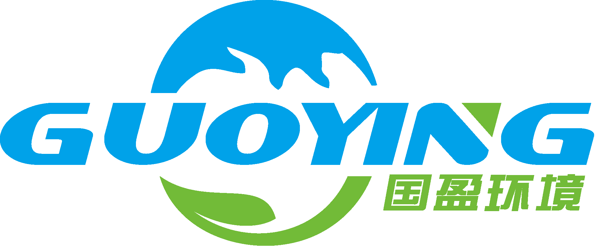 国盈环境科学技术研究（江苏）有限公司