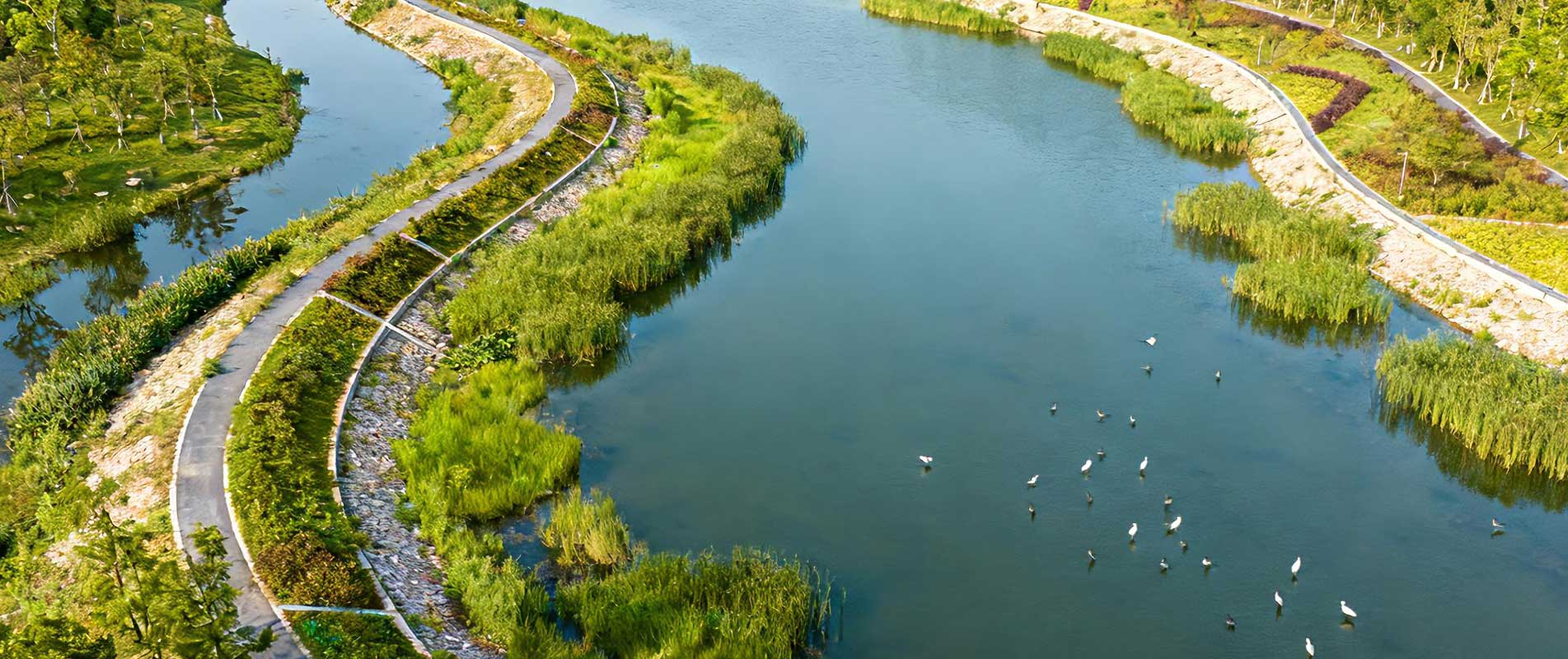 水污染防治与河湖生态保护一体化服务