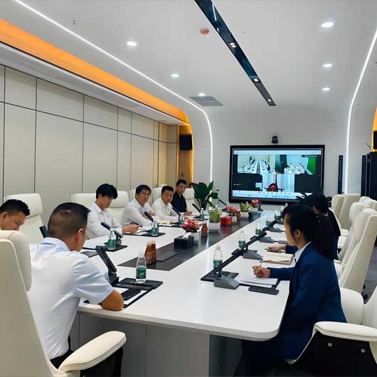 相城区某企业“一企一策”服务项目